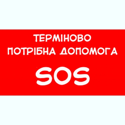 ������� �������,���� ���� ���������-��������.����� ������-������ �����